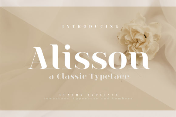 Alisson: The Elegant Serif Font for Handmade Creators
