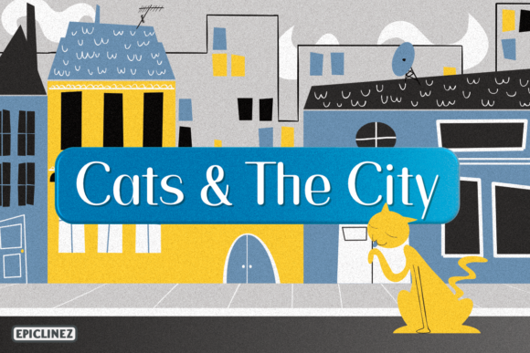Cats and the City: The Ultimate Handwritten Font Guide
