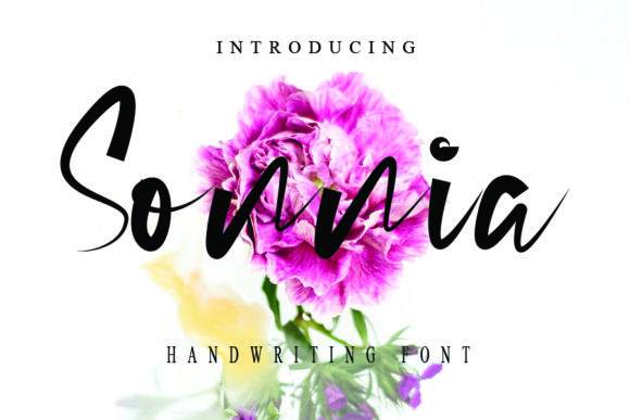 Sonnia: The Perfect Handwritten Typeface for Campaign Design
